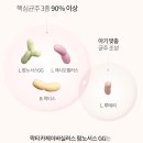 팜케어약국 네이버블로그