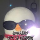 돼지새마을본부 이미지