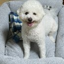 송파스마일동물병원 이미지
