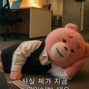 2025 카타르 항공 오사카 어세스 | 백그라운드 체크(aka 레퍼런스 체크)