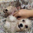 송은메디칼 | (26年02月) 끝없는 질주 난 멈추지 않아