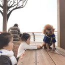 을숙도초후문 이미지