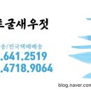 덕신토굴새우젓