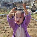 혜온농장 네이버블로그
