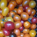 용진1농장 이미지