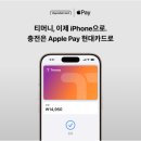 티머니페이_버스 | 애플페이 티머니 출시! 아이폰으로 지하철·버스 결제 가능 | 티머니 설정 방법 및 설정 후기