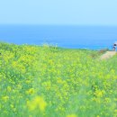 바다가있는풍경 이미지