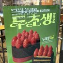 두정1길 | 투썸플레이스 천안두정점 두초생 후기