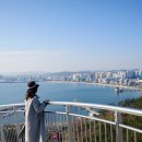 두호동 두무치 작은도서관 | 포항 포항 가볼 만한 곳 명소 스페이스 워크 올라가는 길 주차장 총정리 환호공원 영일대해수욕장
