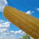 용산-이촌-335 | 여의도불꽃놀이와 노을카페 후기