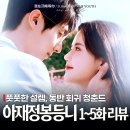 동반상사 | 아재정봉등니 후기 손진니 진정가 동반 회귀 청춘 중국드라마 추천