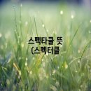 스펙타클(SPECTACLE) 이미지