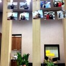 와일드피싱 이미지