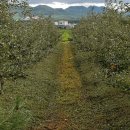 검바우농장 이미지