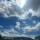 충무태권도체육관 이미지