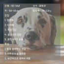 마이리틀프렌드 - 남구 삼산로94번길 19-24 | 마이리틀프렌드