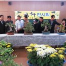 고흥도덕중학교 이미지