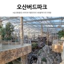 UR(오산시)-[성호대로]-하-13 | 오산버드파크 할인 주차 꿀팁까지｜오산 실내동물원 아이와 가볼만한곳
