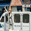 평창 애니포레 모노레일 할인 알파카 가문비치유숲 카페 코스추천