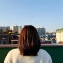 에이치아이온 | 구로항동미용실 <플랜에이치> 톤다운염색, 레이어드컷 잘하는 이설디자이너 후기