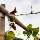 신한농장 이미지