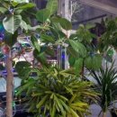 집밥이땡긴다 이미지