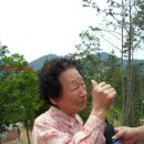 거제시장목면구영보건진료소 | 닥터 시블리家 , 대를 이어 끝없는 한국사랑
