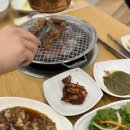 한밭수목원 | 만년동맛집 왕포면옥 돼지갈비 방문 후기! 한밭수목원 나들이 후 딱