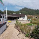 은하민박 이미지