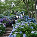 삼도농장 이미지