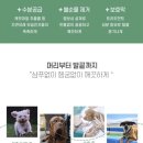 베이직바디 이미지