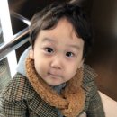 옥길동 726-3 이미지