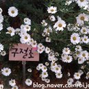 농성초등학교 운동장 이미지