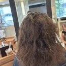 헤어창고 | 찰랑이는 머릿결, 제대로 찾은 보물창고! 목동미용실 웨일 드 헤어 솔직 후기요!