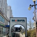 엠사우나 이미지