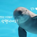 인어나라