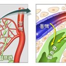 모델라지 이미지