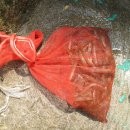 잠자리팬션 이미지