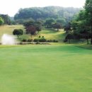 조일프라자골프클럽 이미지