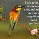 인생의 40가지 충고 (40 Pieces of Advice in Life) 이미지
