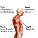 라운드짐 이미지