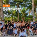 해적섬 | 다낭 참섬 해적 호핑투어 후기 스노클링 맥주 파티 예약 총정리