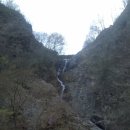 송광사&벚꽃길 이미지