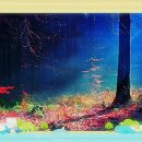 경지양돈 이미지