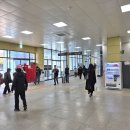 1144 | 부산에서 울산 가는 방법 버스 노선 빠르고 저렴한 교통편