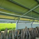 J 태양광발전소 이미지