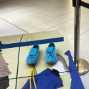 와이와이존 이미지