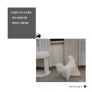 초이스디자인 | 고양이 수직 스크래쳐 작은 냥이를 위한 펫초이스 내돈내산 후기