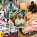 친환경 양돈 생균제 이미지