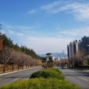 반도이용소